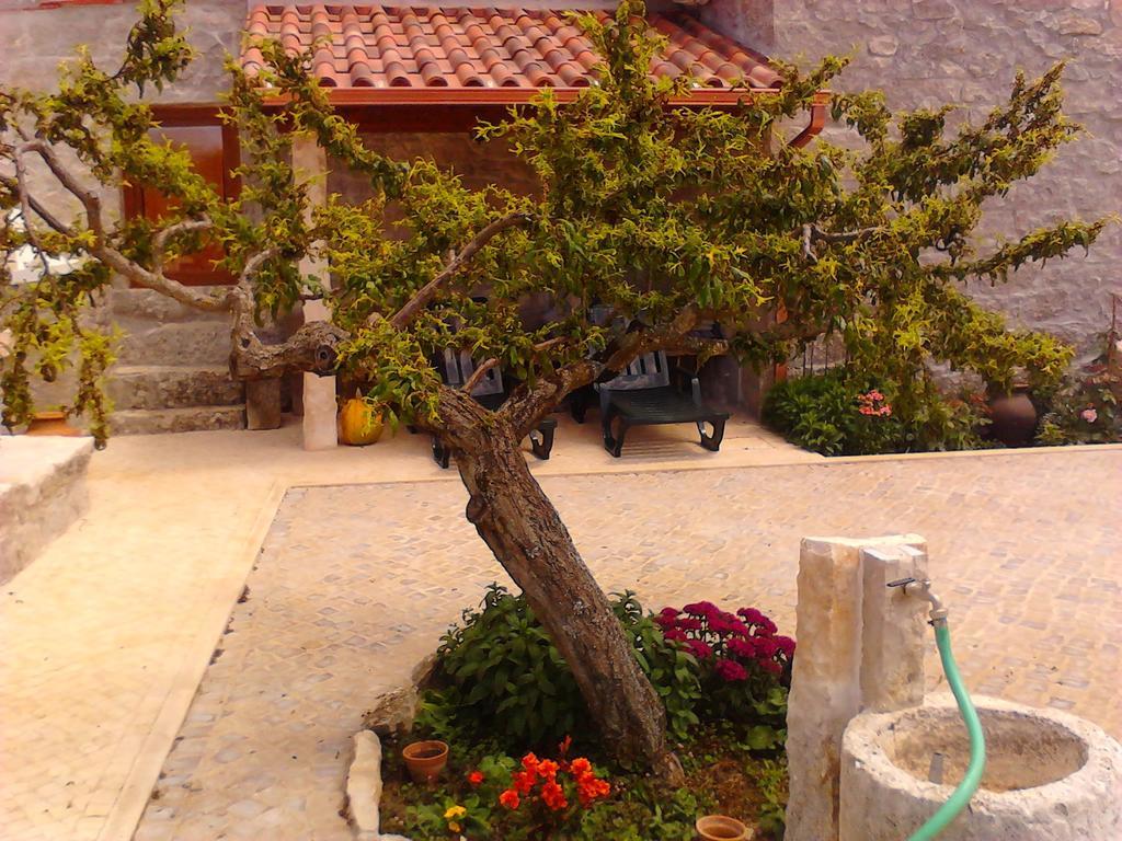 Maison d'hôtes Retiro Da Avo Lidia - Turismo Rural à Mendiga Extérieur photo