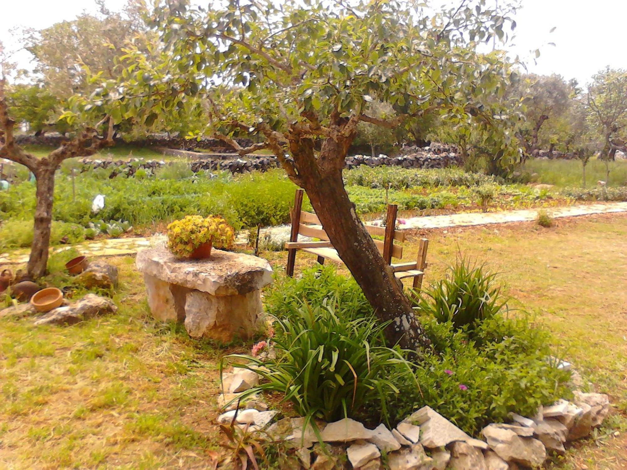 Maison d'hôtes Retiro Da Avo Lidia - Turismo Rural à Mendiga Extérieur photo