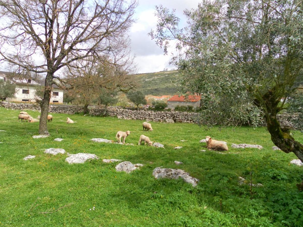 Maison d'hôtes Retiro Da Avo Lidia - Turismo Rural à Mendiga Extérieur photo